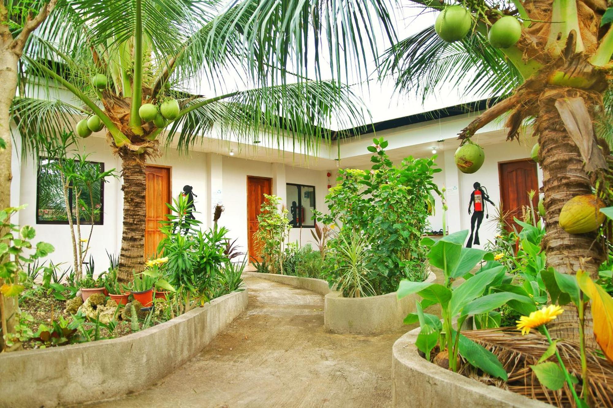 Ananas Guesthouse Moalboal Exteriör bild