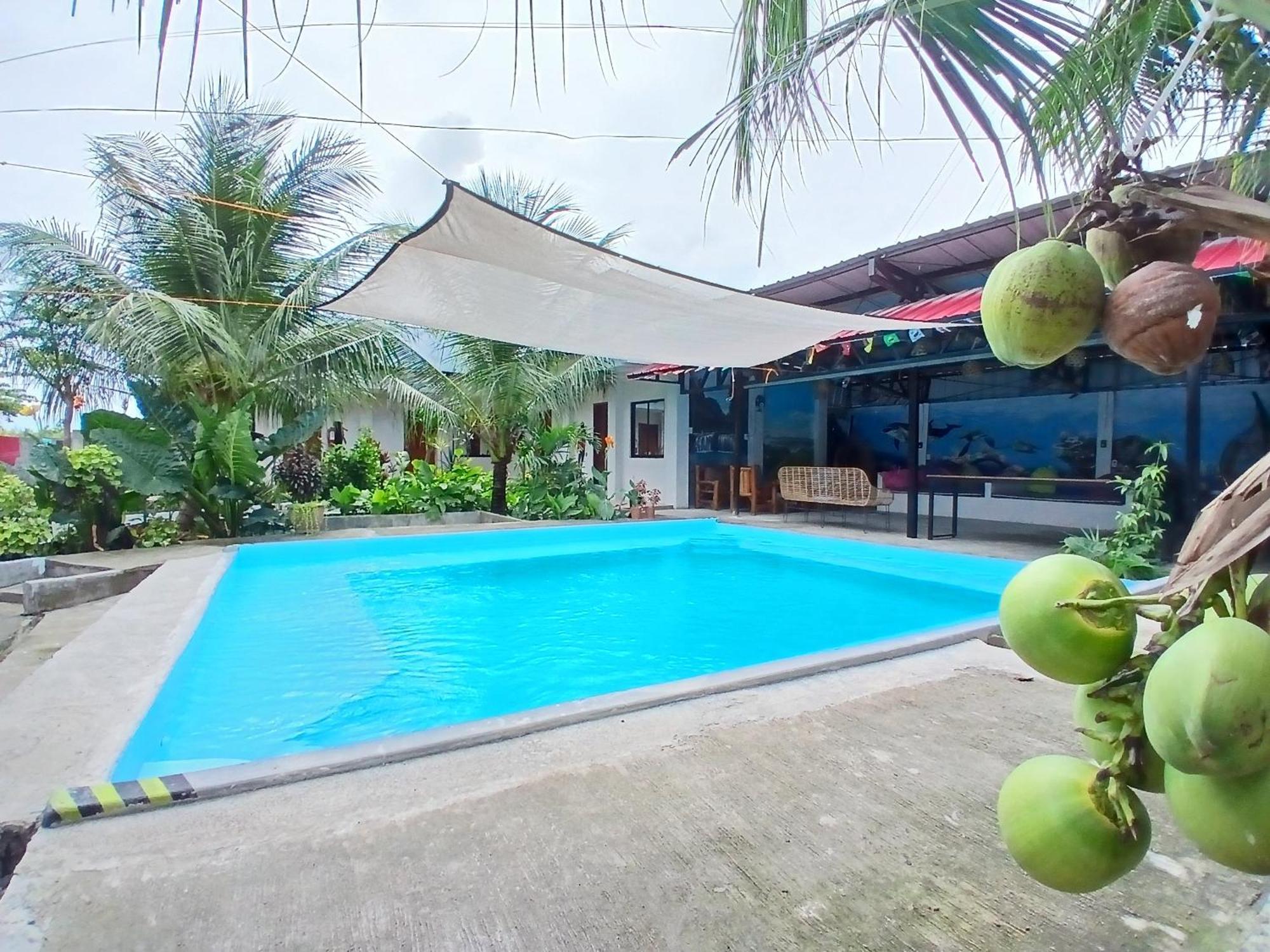 Ananas Guesthouse Moalboal Exteriör bild